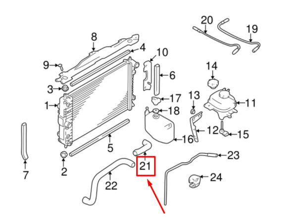 C2N1174 - Jaguar XK 8 Convertible X100 Upper Radiator Hose C2N1174 NEW GENUINE