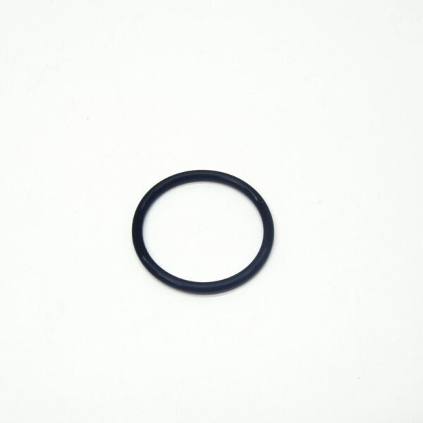 LR023145 - LR RANGE ROVER III L322 Thermostat Case Bottom O-Ring LR023145 NEW Original
