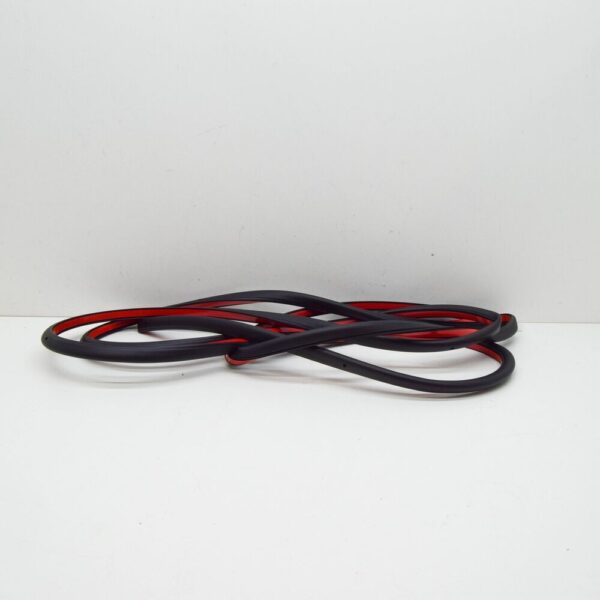 LR026458 - LAND ROVER RANGE ROVER EVOQUE L538 Rear Left Door Seal LR026447 NEW GENUINE