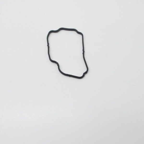 LR035122 - RR Range Rover L405 Cover Gasket for Dishwasher Pipe LR035122 NEW