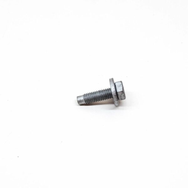 RYG500980 - 10PCS NEW LAND ROVER DISCOVERY 4 L319 TAILGATE HINGE BOLTS RYG500980