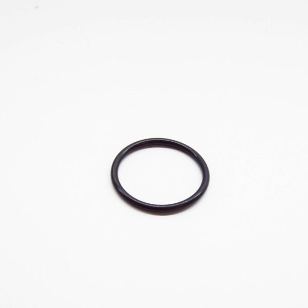 SYX000010 - LAND ROVER DISCOVERY 3 L319 Master Cylinder O-Ring SYX000010 NEW