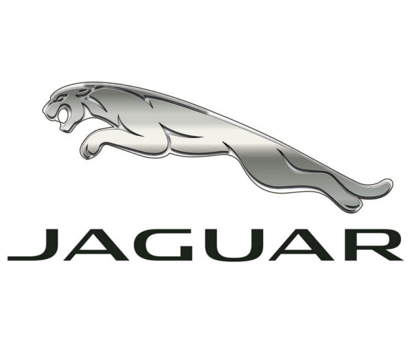 T4A6807 - JAGUAR F PACE X761 exhaust pipe clamp for rear mufflers T4A6807 NEW