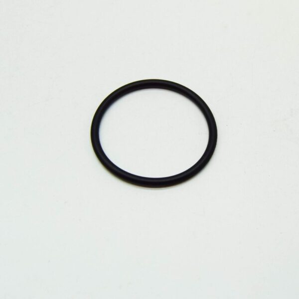 A0219970748 - New MERCEDES-BENZ SPRINTER W903 Thermostat Sealing Ring A0219970748