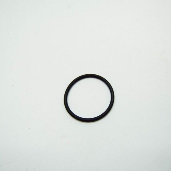 A0219970748 - New MERCEDES-BENZ SPRINTER W903 Thermostat Sealing Ring A0219970748