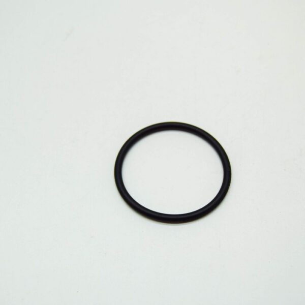 A0219970748 - New MERCEDES-BENZ SPRINTER W903 Thermostat Sealing Ring A0219970748