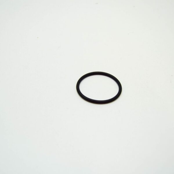 A0219970748 - New MERCEDES-BENZ SPRINTER W903 Thermostat Sealing Ring A0219970748