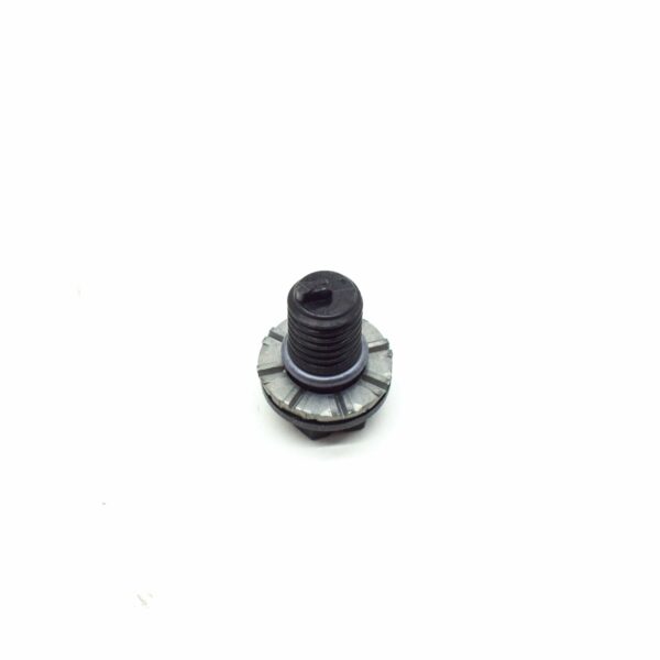 17111719384 - NEW BMW 3 E30 RADIATOR FRAME BOLT M10 17111719384