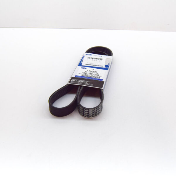 2080928 - FORD FOCUS MK4 C519 Drive V Belt GN1G-6C301-AA 2080928 ORIGINAL