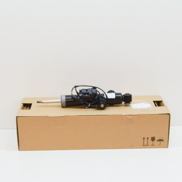 37126796985 - BMW 5 Touring F11 Rear Left Shock Absorber 6796985 37126796985 ORIGINAL
