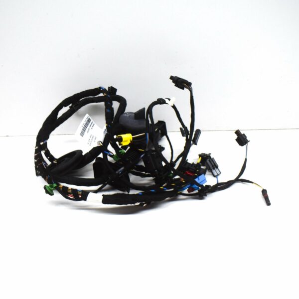 4S8971030G - NEW AUDI R8 SPYDER 4S FRONT RIGHT DOOR WIRING HARNESS 4S8971030G ORIGINAL