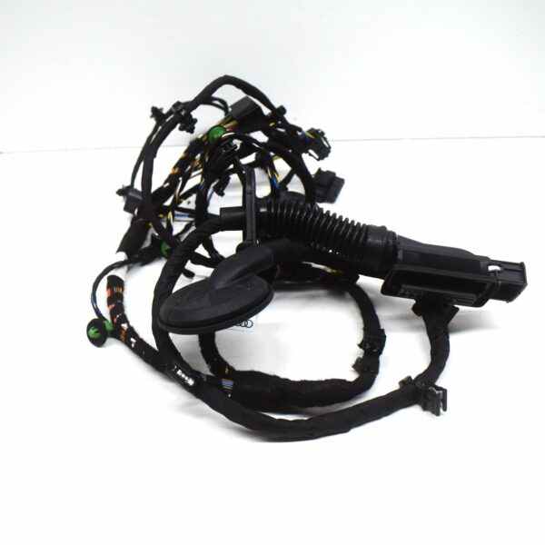 4S8971030G - NEW AUDI R8 SPYDER 4S FRONT RIGHT DOOR WIRING HARNESS 4S8971030G ORIGINAL
