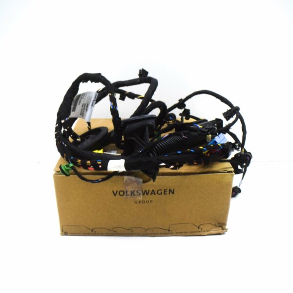4S8971030G - NEW AUDI R8 SPYDER 4S FRONT RIGHT DOOR WIRING HARNESS 4S8971030G ORIGINAL