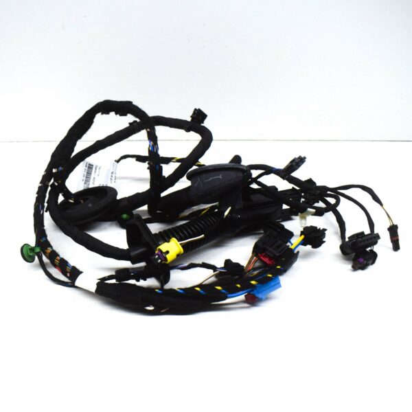 4S8971030G - NEW AUDI R8 SPYDER 4S FRONT RIGHT DOOR WIRING HARNESS 4S8971030G ORIGINAL