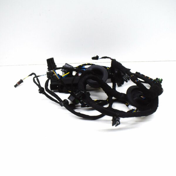 4S8971030G - NEW AUDI R8 SPYDER 4S FRONT RIGHT DOOR WIRING HARNESS 4S8971030G ORIGINAL