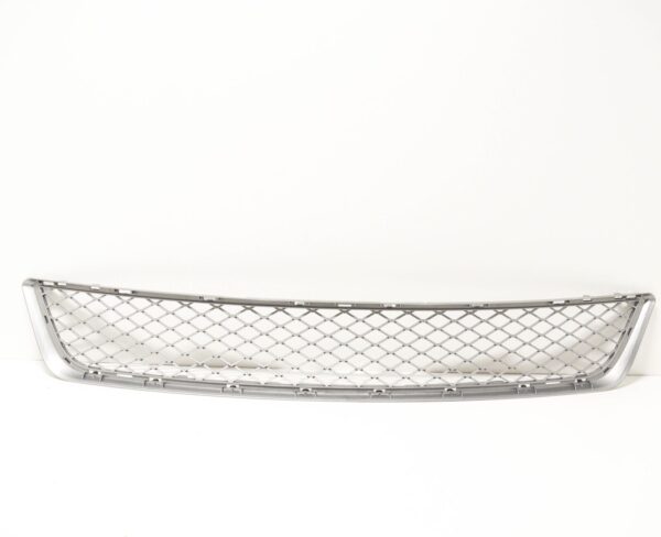 51117222854 - BMW X5 E70 Front Bumper Lower Grille 51117222854 ORIGINAL