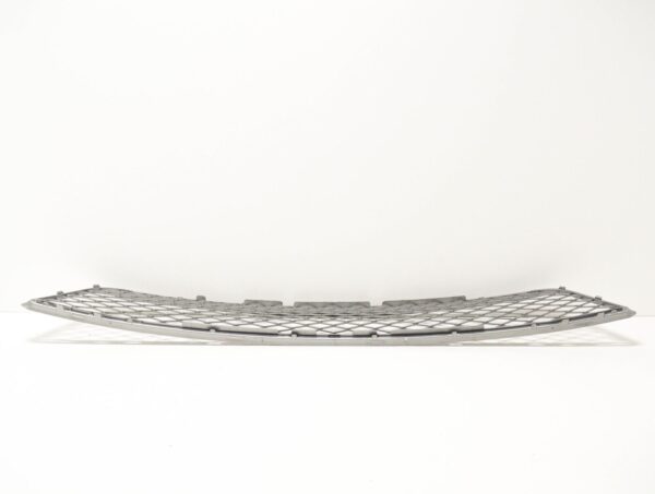 51117222854 - BMW X5 E70 Front Bumper Lower Grille 51117222854 ORIGINAL