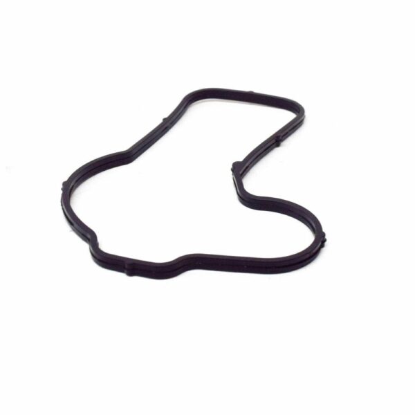 94810640101 - Genuine Porsche Cayenne Engine Water Pump Gasket Sealing Ring 94810640101