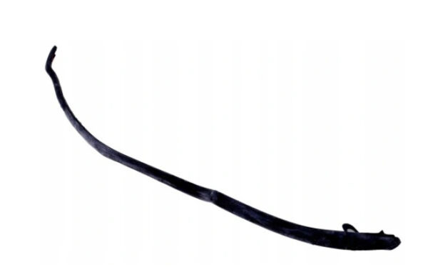 97053753201 - Porsche Panamera 970 Front Right Door Seal 97053753201 NEW GENUINE