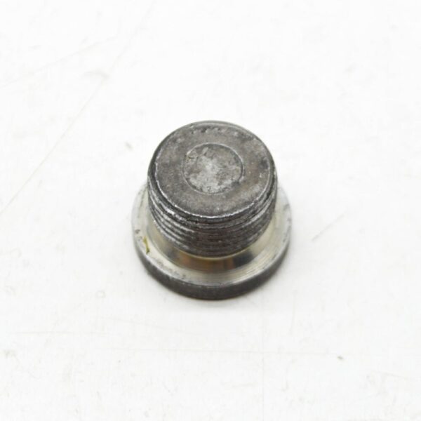 PAF008309A - Porsche Cayenne 92a Oil Tub Gasket Plug PAF008309A NEW GENUINE