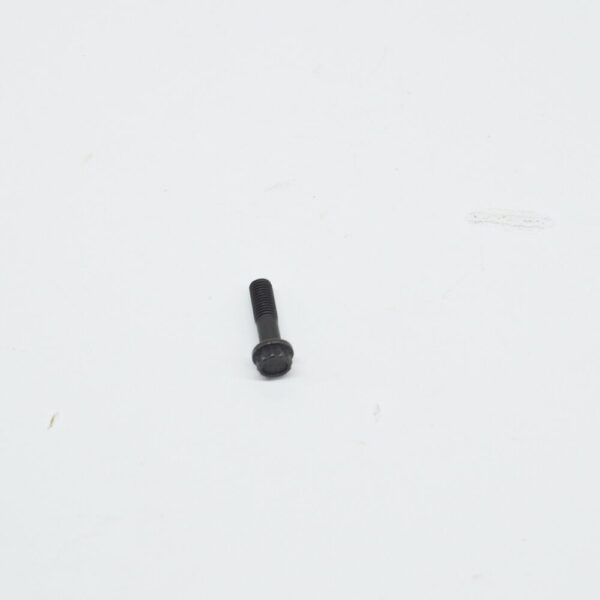 N10101001 - NEW VW BEETLE A5 CLUTCH PRESSURE PLATE 12 POINT HEAD SCREW N10101001 ORIGINAL