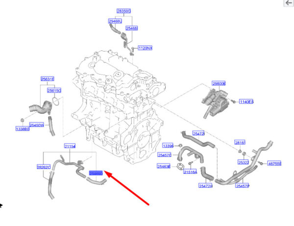 254642M800 - Hyundai Tucson NX4 MK4 Oil Cooler Hose 254642M800, Original Part